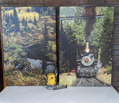 Runaway Train