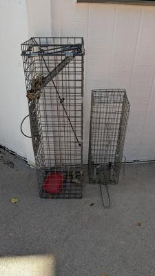 Live Traps