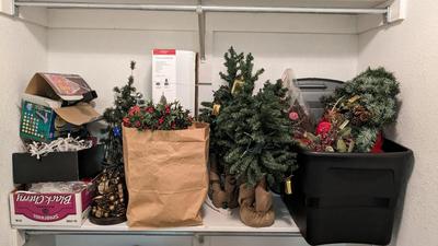 Christmas Flora and Lights