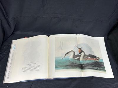 The Birds of America John James Audubon with Water-Color Painting Prints Coffee Table Book