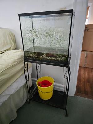 Fish tank and stand