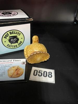 Pot Bellyâ€™s-Perkie