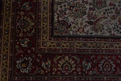 Ornate Area Rug (Apologies for lighting quality)