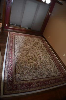 Ornate Area Rug (Apologies for lighting quality)