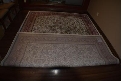 Ornate Area Rug (Apologies for lighting quality)