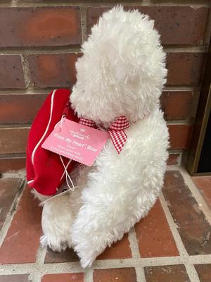 Hallmark â€œFrom my heartâ€ collectible bear