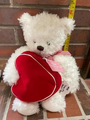 Hallmark â€œFrom my heartâ€ collectible bear
