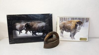 Where The Buffalo Roam