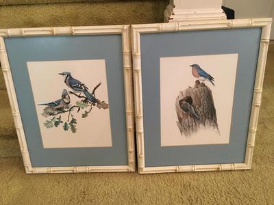 Pair of vintage Bird prints