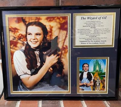 Wizard of Oz-Dorthy framed picture