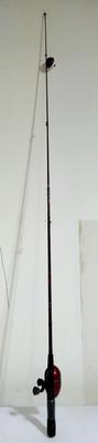 Shakespeare FIREBIRD Fishing Combo