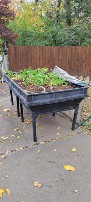 Raised Garden