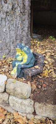 Feeling Froggy?