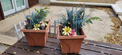 Flower Planters