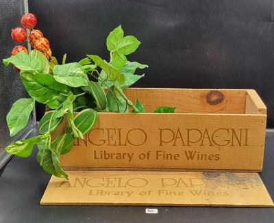 Angelo Papagne Decor