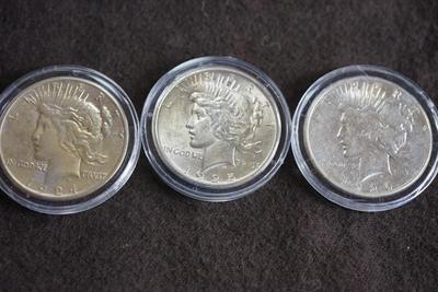PEACE SILVER DOLLAR COLLECTION 1920'S /30'S  -TEN IN A PRESENTATION BOX & PLASTIC CASES.
