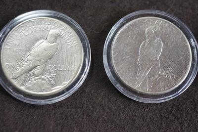 PEACE SILVER DOLLAR COLLECTION 1920'S /30'S  -TEN IN A PRESENTATION BOX & PLASTIC CASES.