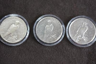 PEACE SILVER DOLLAR COLLECTION 1920'S /30'S  -TEN IN A PRESENTATION BOX & PLASTIC CASES.