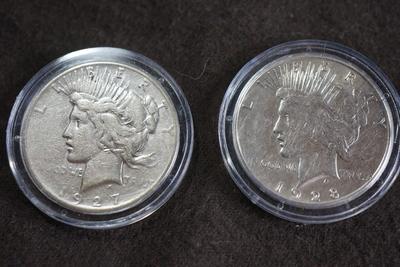 PEACE SILVER DOLLAR COLLECTION 1920'S /30'S  -TEN IN A PRESENTATION BOX & PLASTIC CASES.