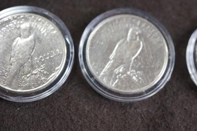PEACE SILVER DOLLAR COLLECTION 1920'S /30'S  -TEN IN A PRESENTATION BOX & PLASTIC CASES.
