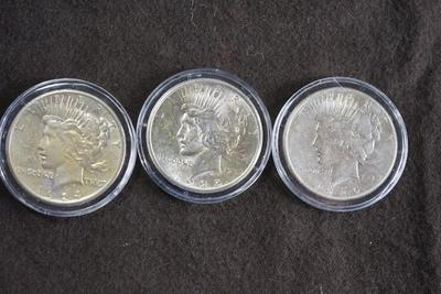 PEACE SILVER DOLLAR COLLECTION 1920'S /30'S  -TEN IN A PRESENTATION BOX & PLASTIC CASES.