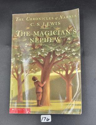 Teen Reader's Book Lot