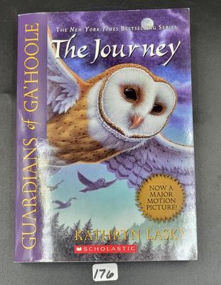 Teen Reader's Book Lot