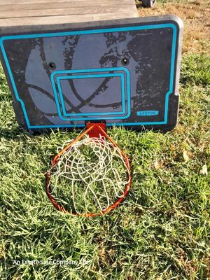 Lifetime Basketball backboard and metal hoop