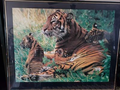 Wall Decor - Tiger and Cubs
