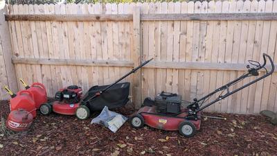 Troy Bilt 21