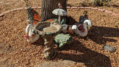Garden Friends