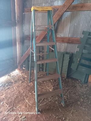 Werner electro-master heavy duty fiberglass 6 foot ladder