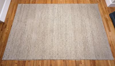 Jaipur 5x7 Woven Area Rug