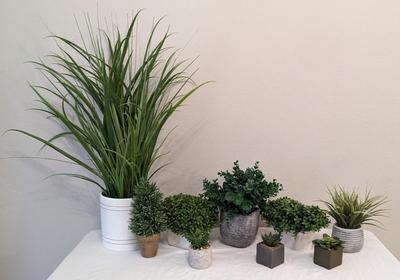 Faux Flora
