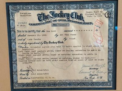 Framed Jockey Club Certificate, 1995