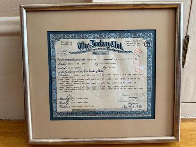 Framed Jockey Club Certificate, 1995