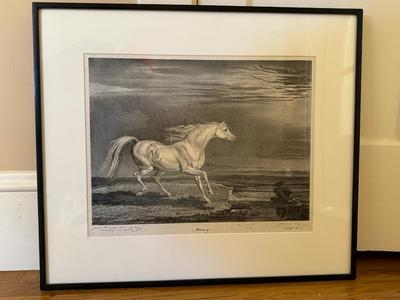 James R. A. Ward, Marengo-NapoleanBonaparteâ€™s Bard Charger at the Battle of Waterloo, The Property of Captain Howard, 1824, lithograph