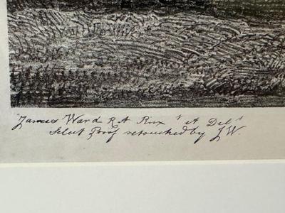 James R. A. Ward, Marengo-NapoleanBonaparteâ€™s Bard Charger at the Battle of Waterloo, The Property of Captain Howard, 1824, lithograph