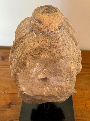 Sandstone Buddha head on pedestal, India, c. 16th-17th Century
