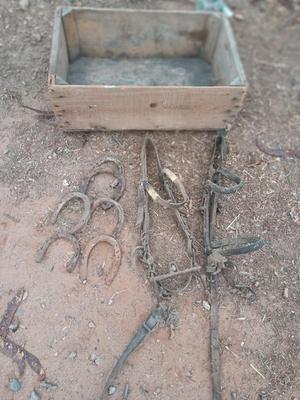 Wooden crate box with horseshoes and vintage horse tack