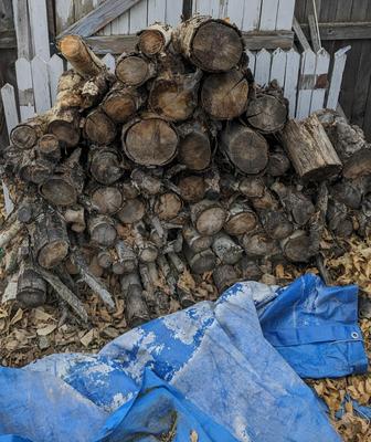 Fire Wood