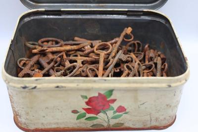 Box of Antique Skeleton Keys (80+ Keys)