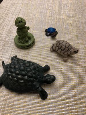 TURTLE POWER