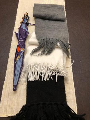 BLACK, WHITE, GRAY SCARVES & HARRY POTTER UMBRELLA