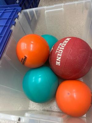 Lot 1399 Five medicine balls
