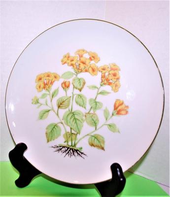 "Yellow Plant" by Artist Unknown Collector Plate