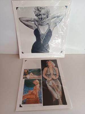 Collectible Marilyn Monroe Pictures