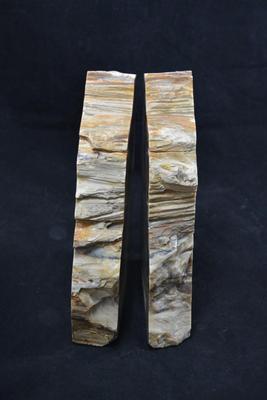 Petrified Sequoia Book Ends 8.25â€ Tall, Felted