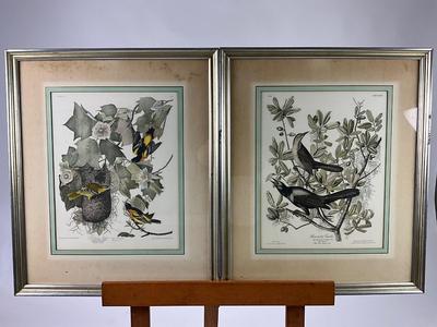 815 Framed Audubon Prints AS-IS