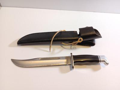 Nice Buck 120 with General Phenolic Handle